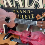 Folk Instruments