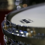 Drums & Percussion