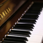 Keyboards & Pianos