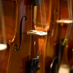 Orchestra