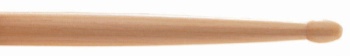 TX5BW ProMark Classic Forward 5B Hickory Drumstick, Oval Wood Tip