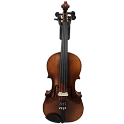 Stradivarius violin case clearance